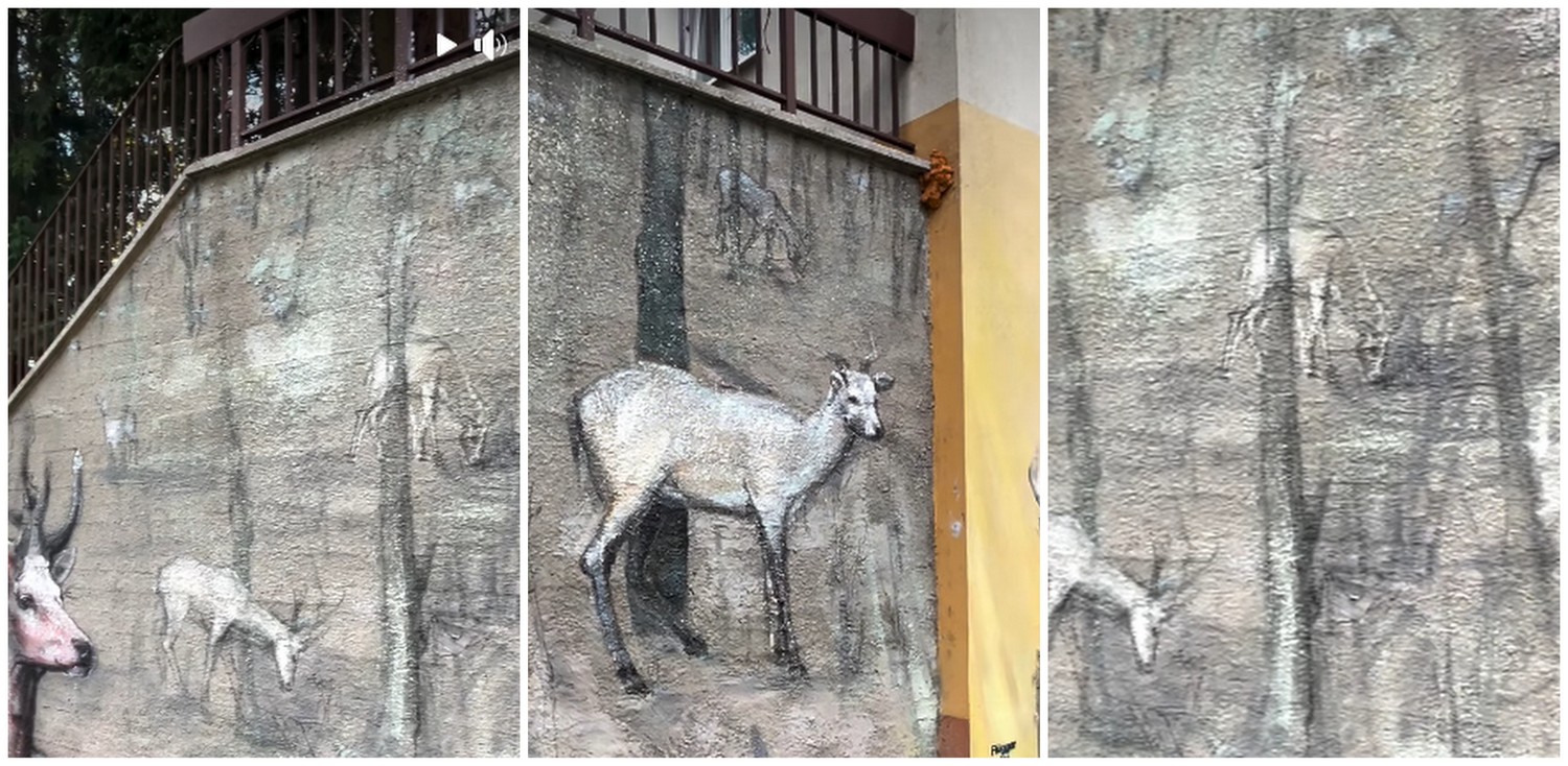 (Fot. Facebook/Szpital Specjalistyczny im. Floriana Ceynowy w Wejherowie)