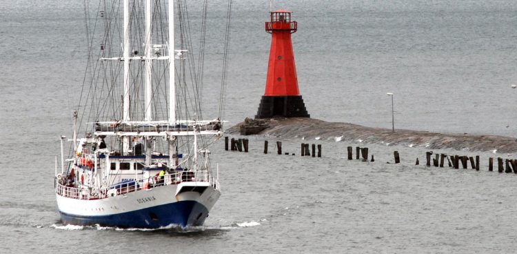 Żaglowiec Oceania wpływa do portu gdańskiego
(Fot. Wojciech Stróżyk / KFP)