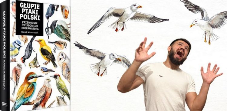 (Fot. materiały prasowe)