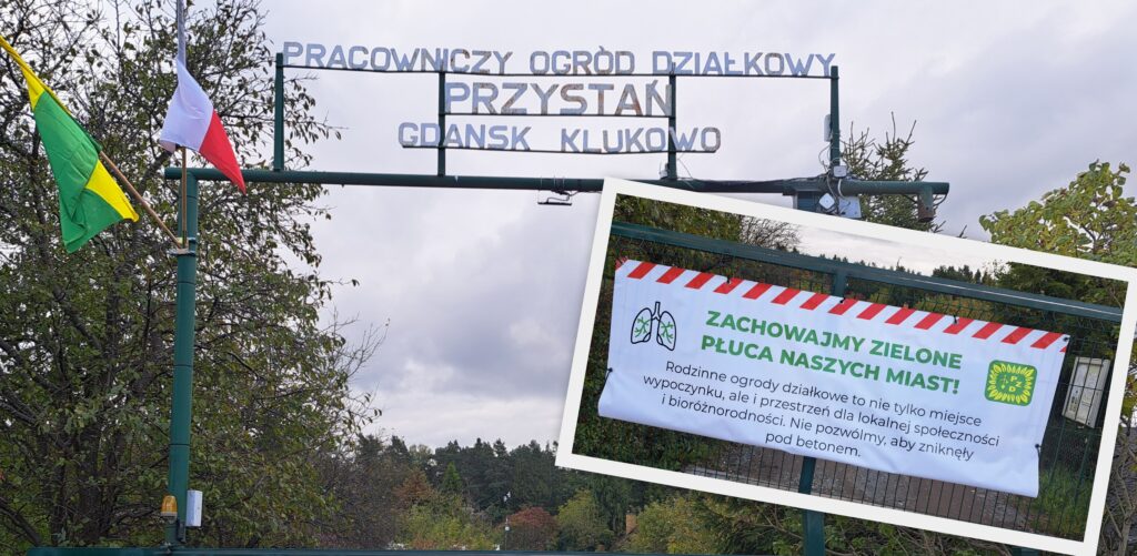 Protest dzierżawców ogrodów działkowych (fot. Radio Gdańsk/Sebastian Kwiatkowski)