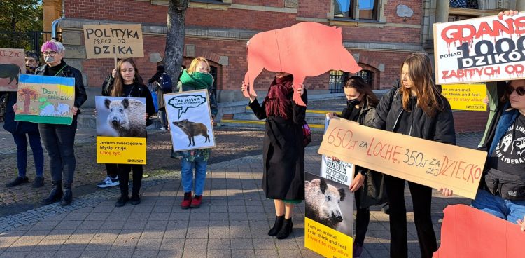 Aktywiści w centrum Gdańska sprzeciwiali się strzelaniu do dzików blisko zabudowań (fot. Radio Gdańsk/Sebastian Kwiatkowski)