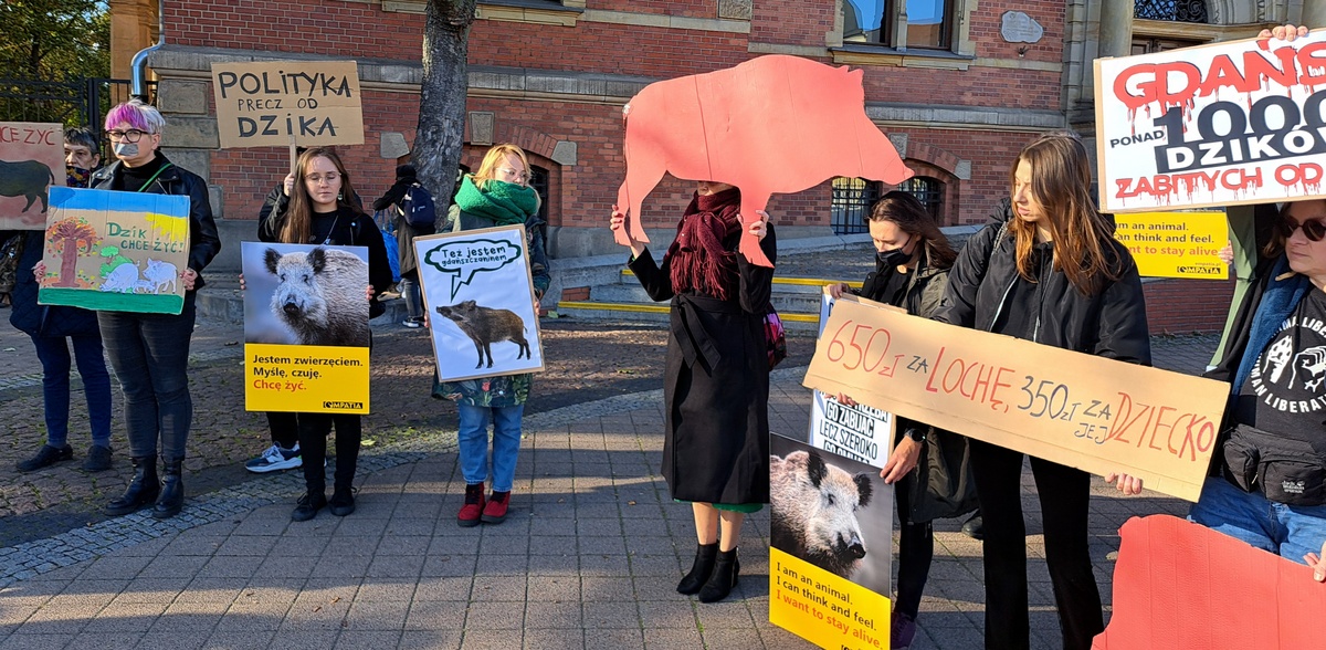 Aktywiści w centrum Gdańska sprzeciwiali się strzelaniu do dzików blisko zabudowań (fot. Radio Gdańsk/Sebastian Kwiatkowski)
