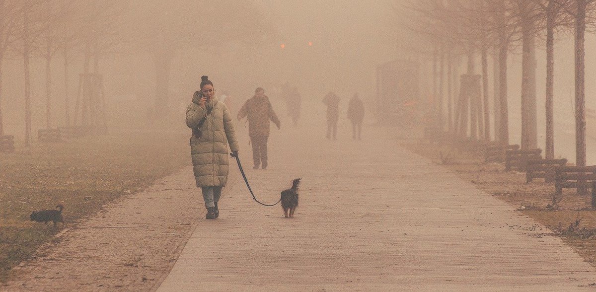 Zdjęcie ilustracyjne (fot. Pixabay)