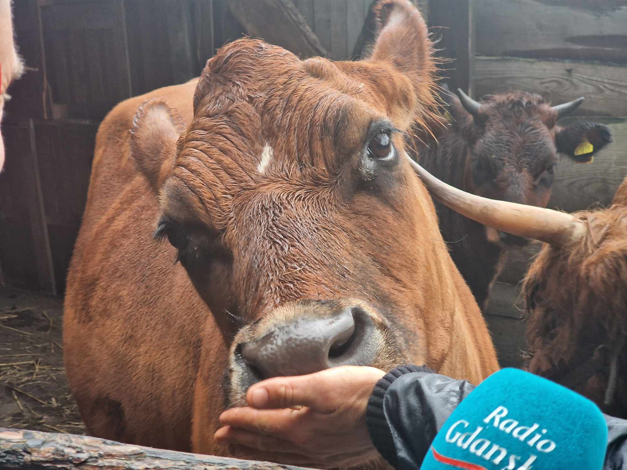 Minizoo w Żukczynie(Fot. Radio Gdańsk/Mateusz Czerwiński)