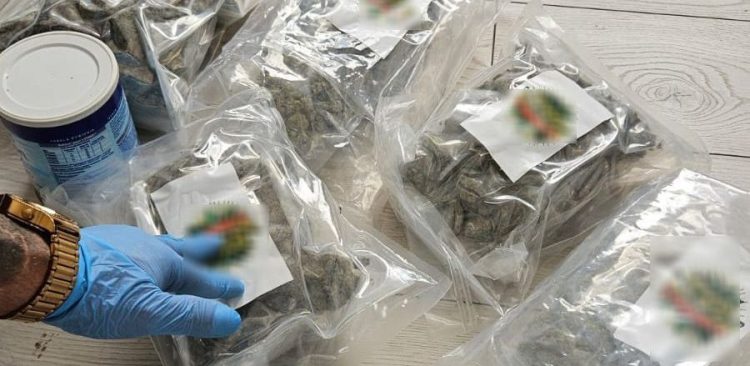 W jednym z mieszkań w Śródmieściu znajdowały się znaczne ilości marihuany (fot. gdansk.policja.gov.pl)