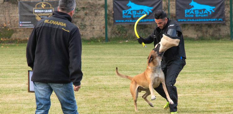 Otwarte Mistrzostwa Polski KOB IGP 2024 CACIT FREE UNITED CHAMPIONSCHIP w Pruszczu Gdańskim - 26.10.2024 r. (fot. Daniel Słoboda / KFP)