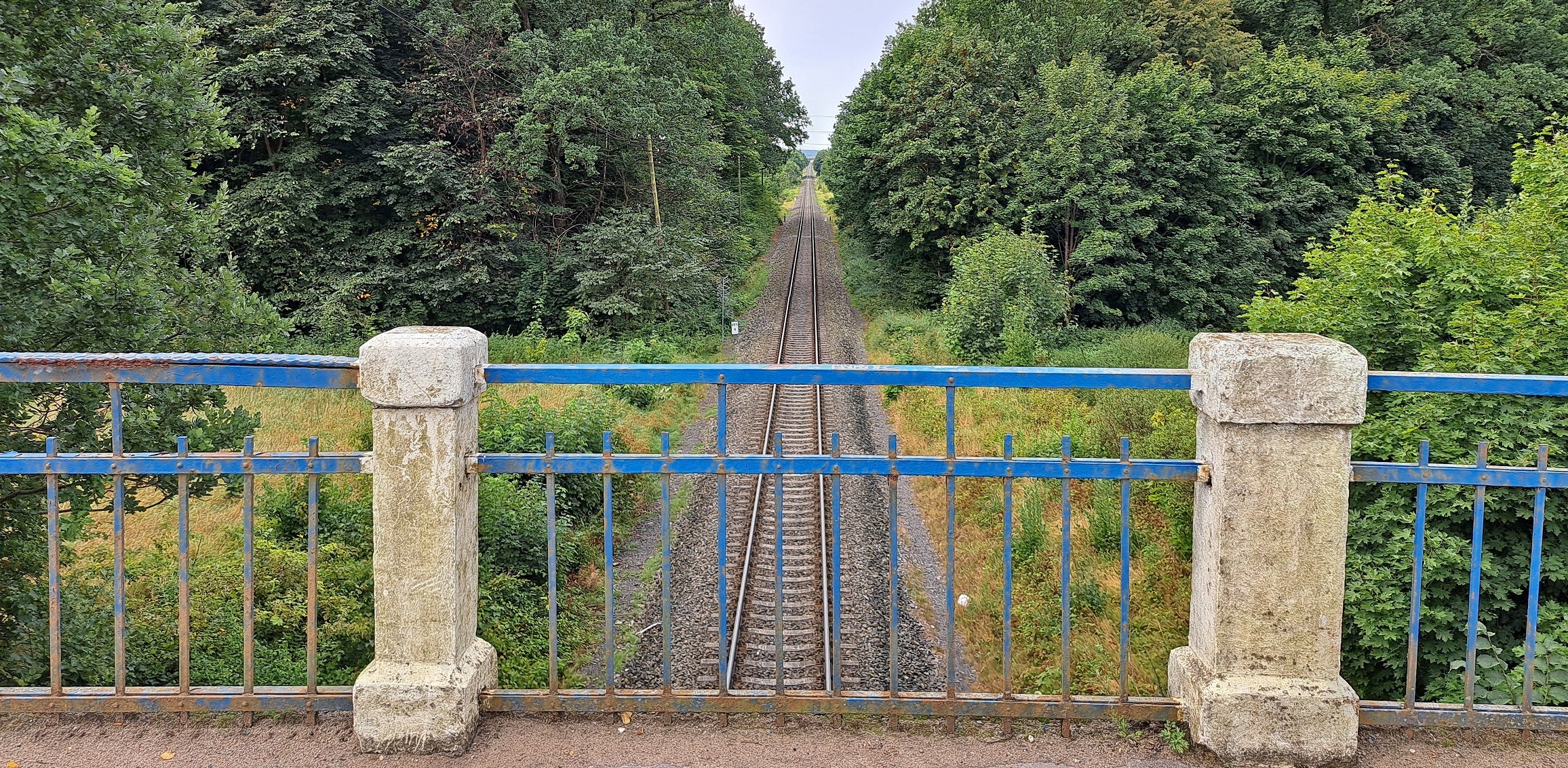 (fot. Radio Gdańsk/Sebastian Kwiatkowski)