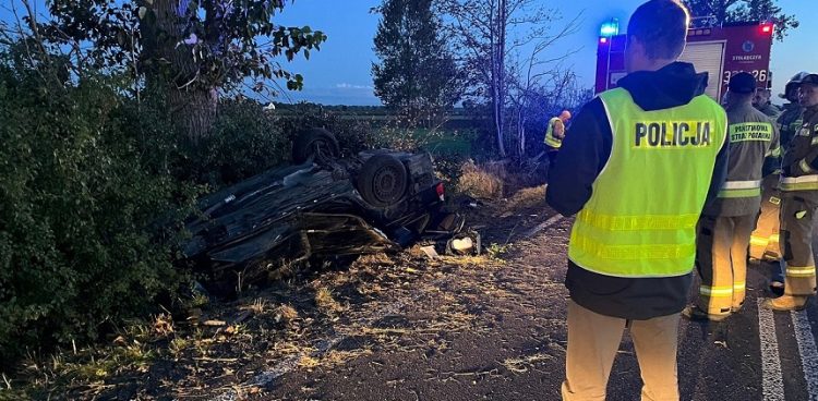 Policjanci z Pruszcza Gdańskiego na miejscu wypadku w Mokrym Dworze (fot. KPP w Pruszczu Gdańskim)