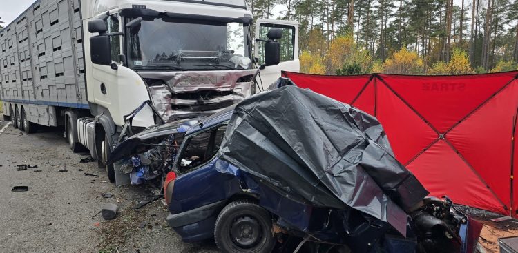 Samochód osobowy jest zmiażdżony
(Fot. straż pożarna)
