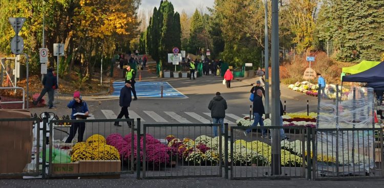 Cmentarz Łostowicki (Fot. Radio Gdańsk/Sebastian Kwiatkowski)