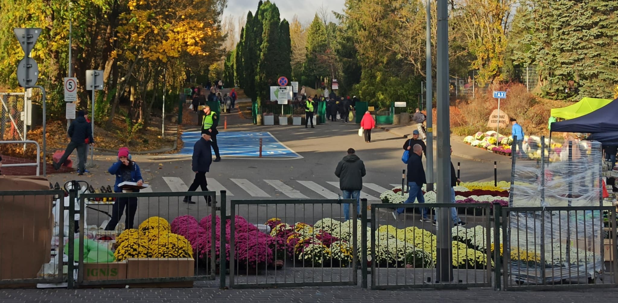 Cmentarz Łostowicki (Fot. Radio Gdańsk/Sebastian Kwiatkowski)