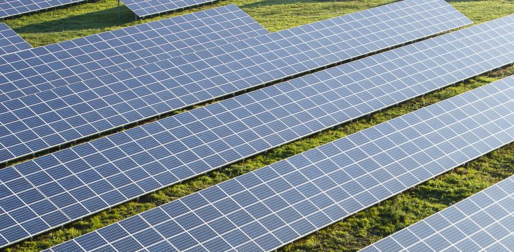 Farma paneli słonecznych (fot. mat. pras.)