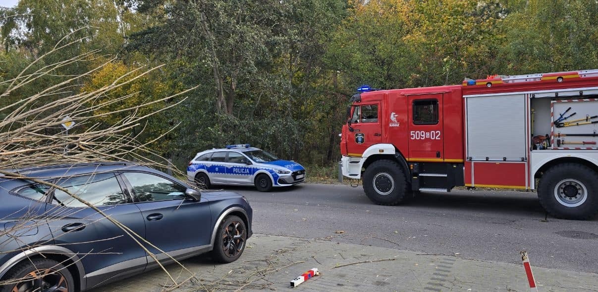 W Helu drzewo spadło na samochód(Fot. OSP Hel)