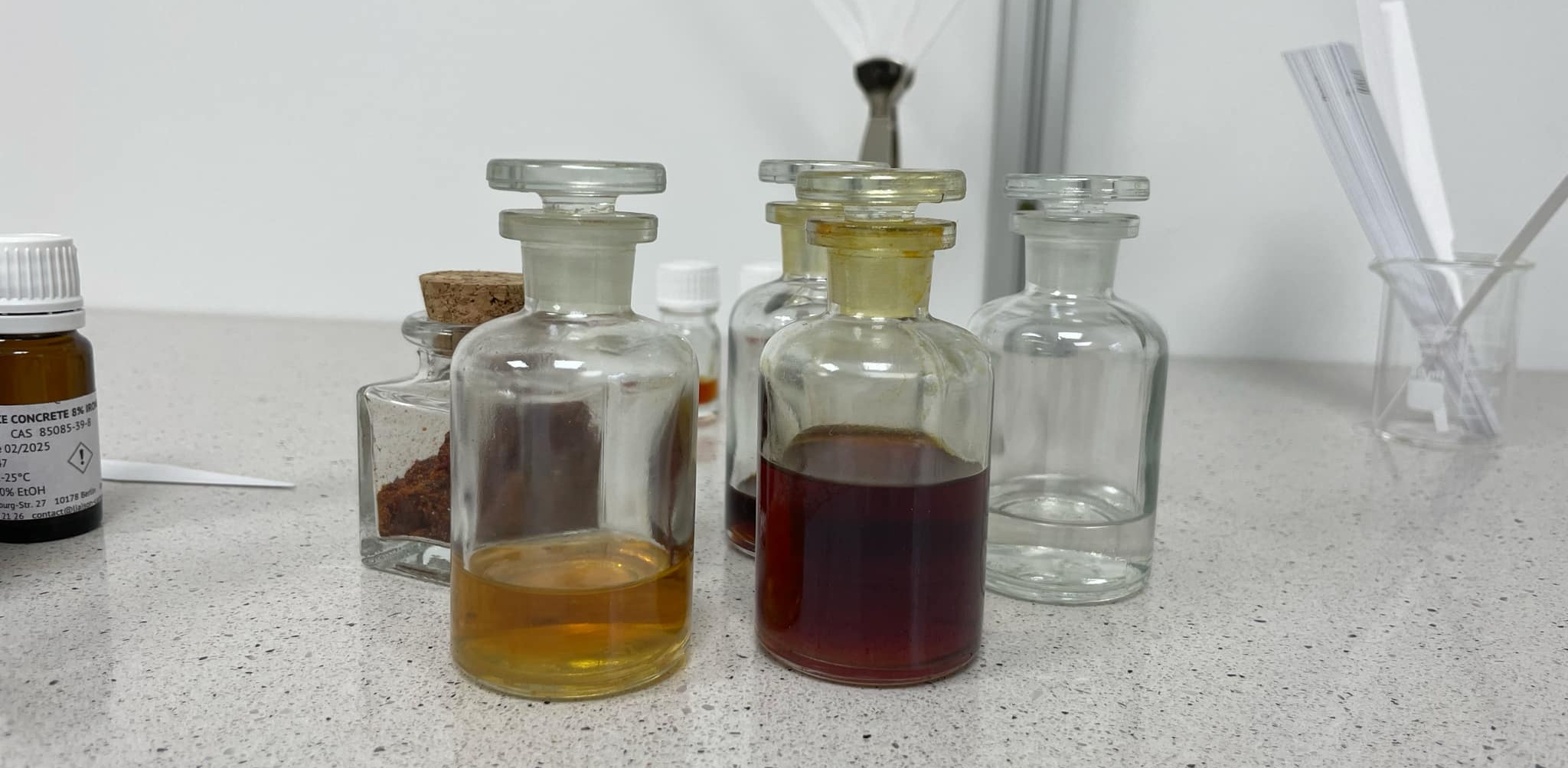 (Fot. Radio Gdańsk/Daniel Wojciechowski)