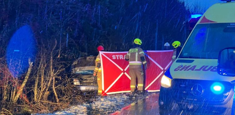 Miejsce wypadku (fot. remiza.pl)