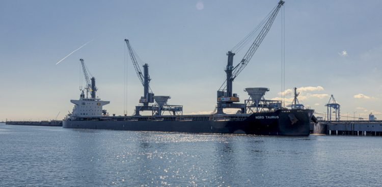 (Fot. Port Północny w Gdańsku)