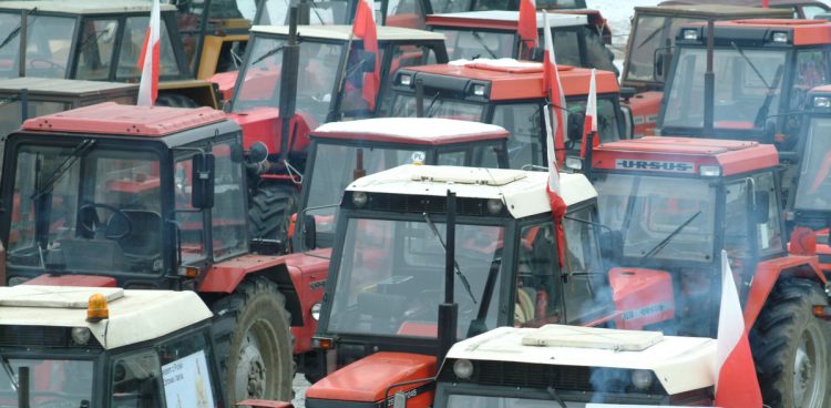 W Egiertowie odbędzie się protest rolników (fot. KFP/Maciej Kosycarz)