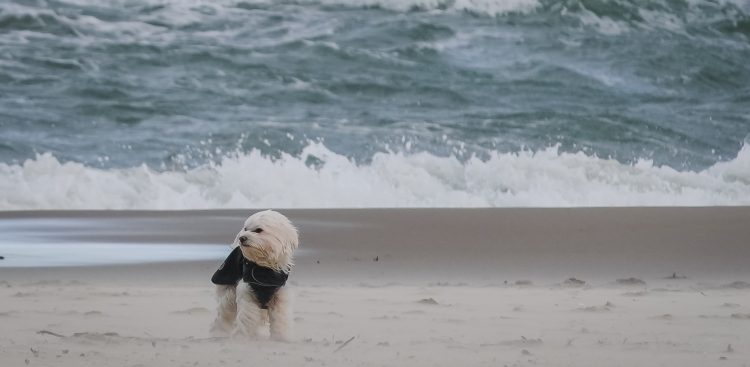 (fot. KFP/Anna Rezulak)