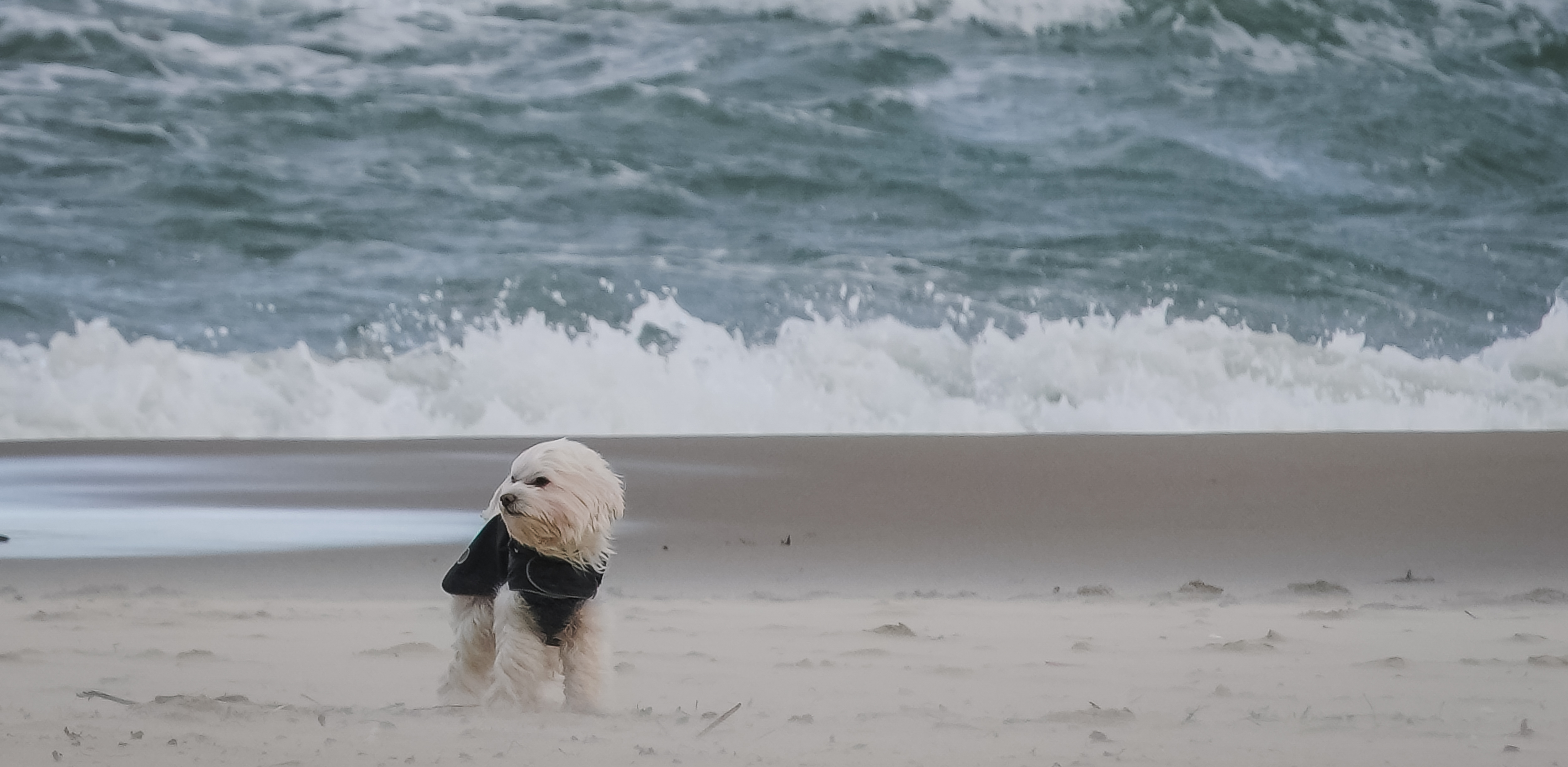 (fot. KFP/Anna Rezulak)