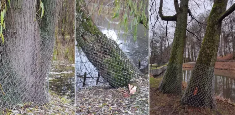 (fot. Gdański Zarząd Dróg i Zieleni)