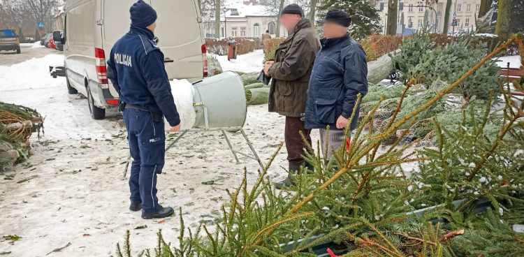 Za kradzież drzewka grożą dość wysokie kary (Fot. policja.gov.pl)