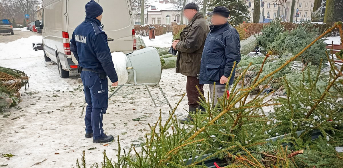 Za kradzież drzewka grożą dość wysokie kary (Fot. policja.gov.pl)