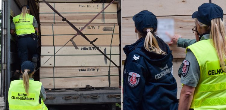 Pobrane zostały próbki produktów drzewnych (fot. Pomorska Krajowa Administracja Skarbowa)