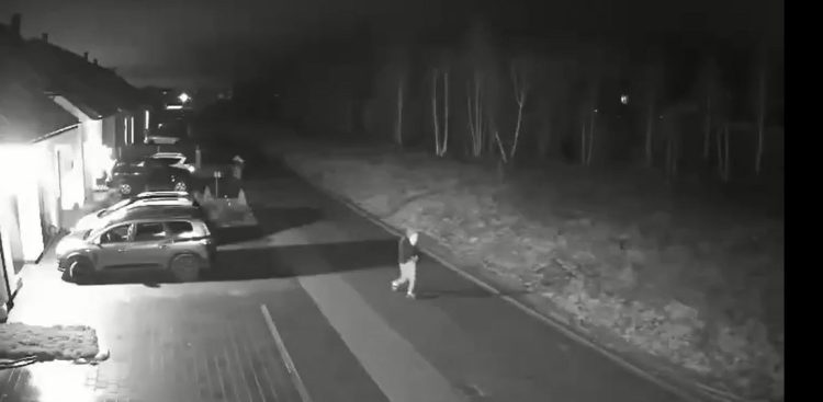 Okradziono dwie kolejne nieruchomości w okolicach Słupska (fot. zapisy monitoringu z jednego z okradzionych domów)
