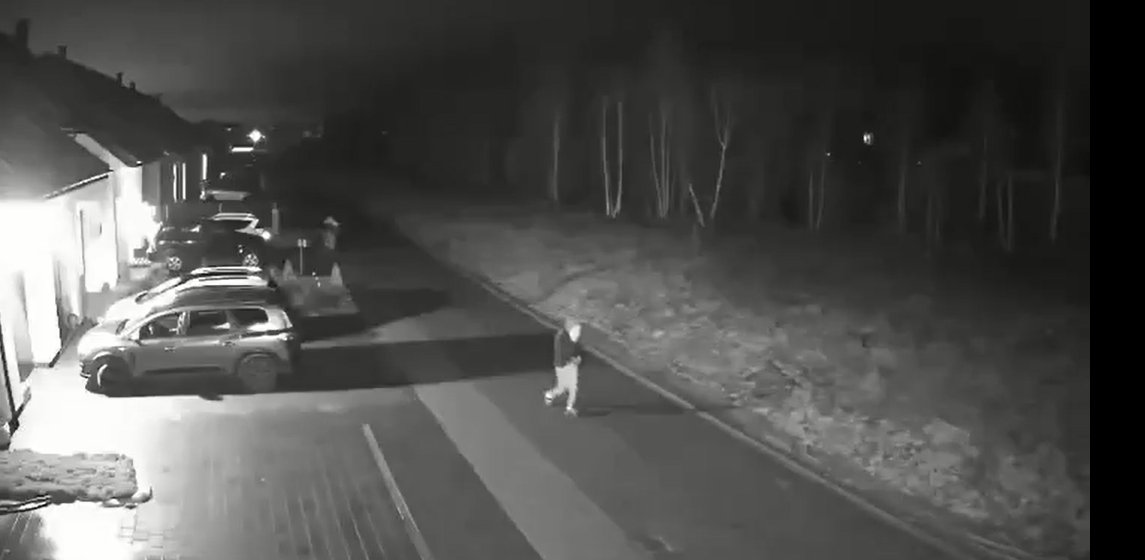 Okradziono dwie kolejne nieruchomości w okolicach Słupska (fot. zapisy monitoringu z jednego z okradzionych domów)
