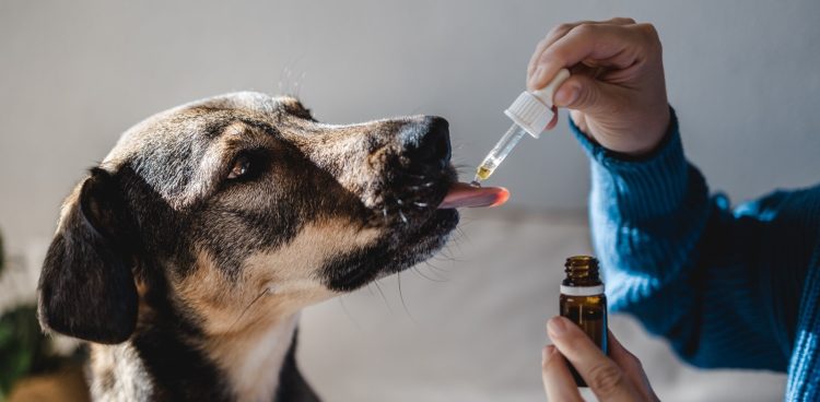 (fot. art. sponsorowany)