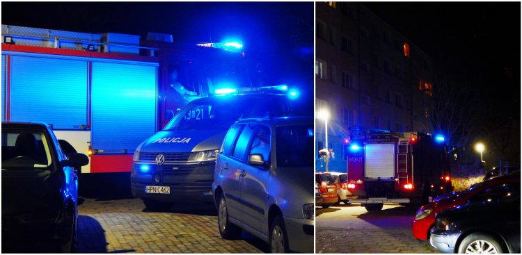 (fot. M. Jasłowski)