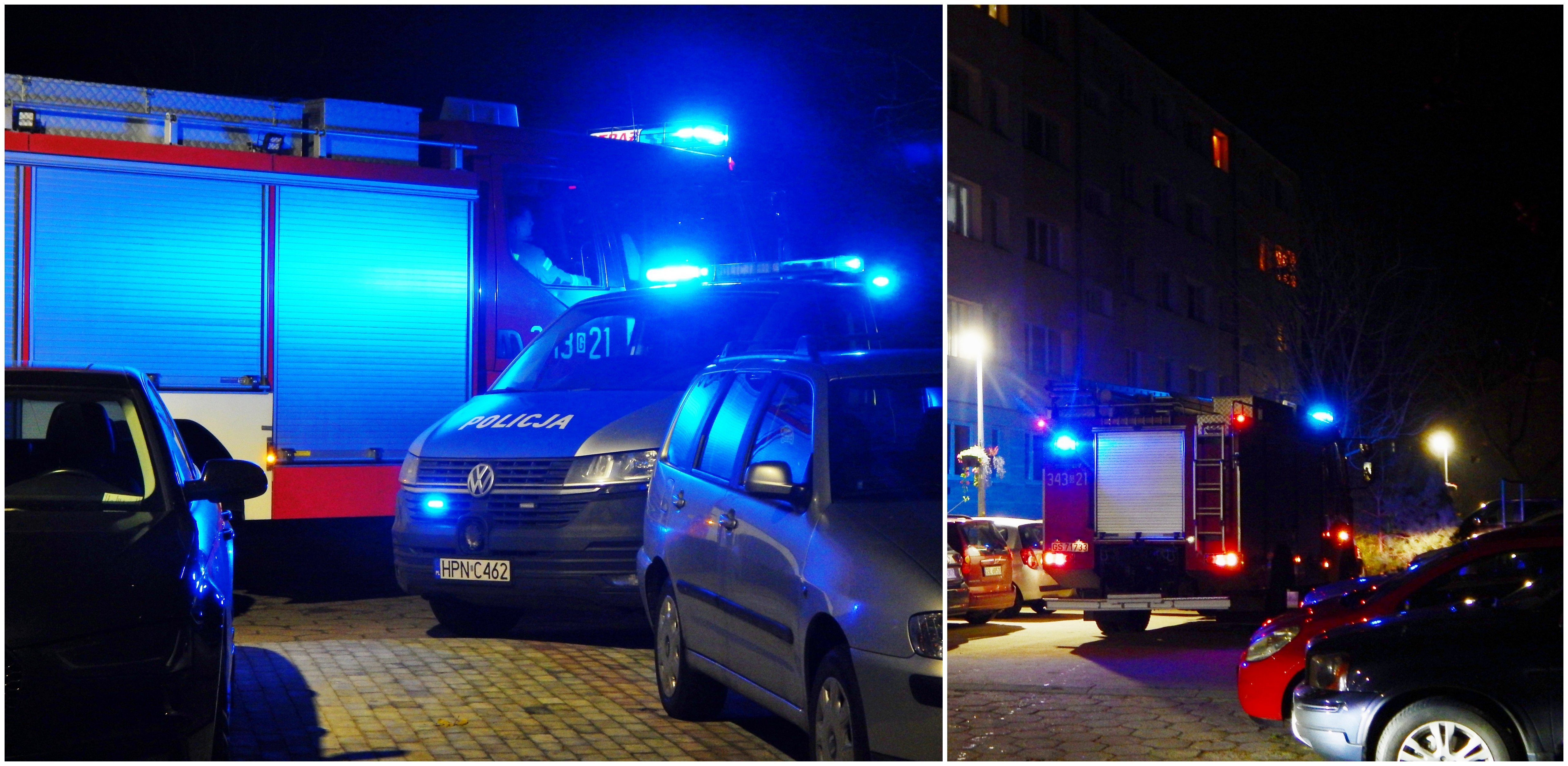 (fot. M. Jasłowski)