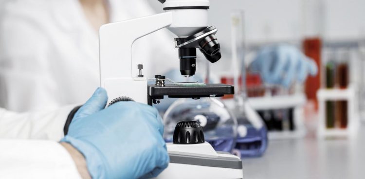 Zdjęcie ilustracyjne (fot. Freepik)