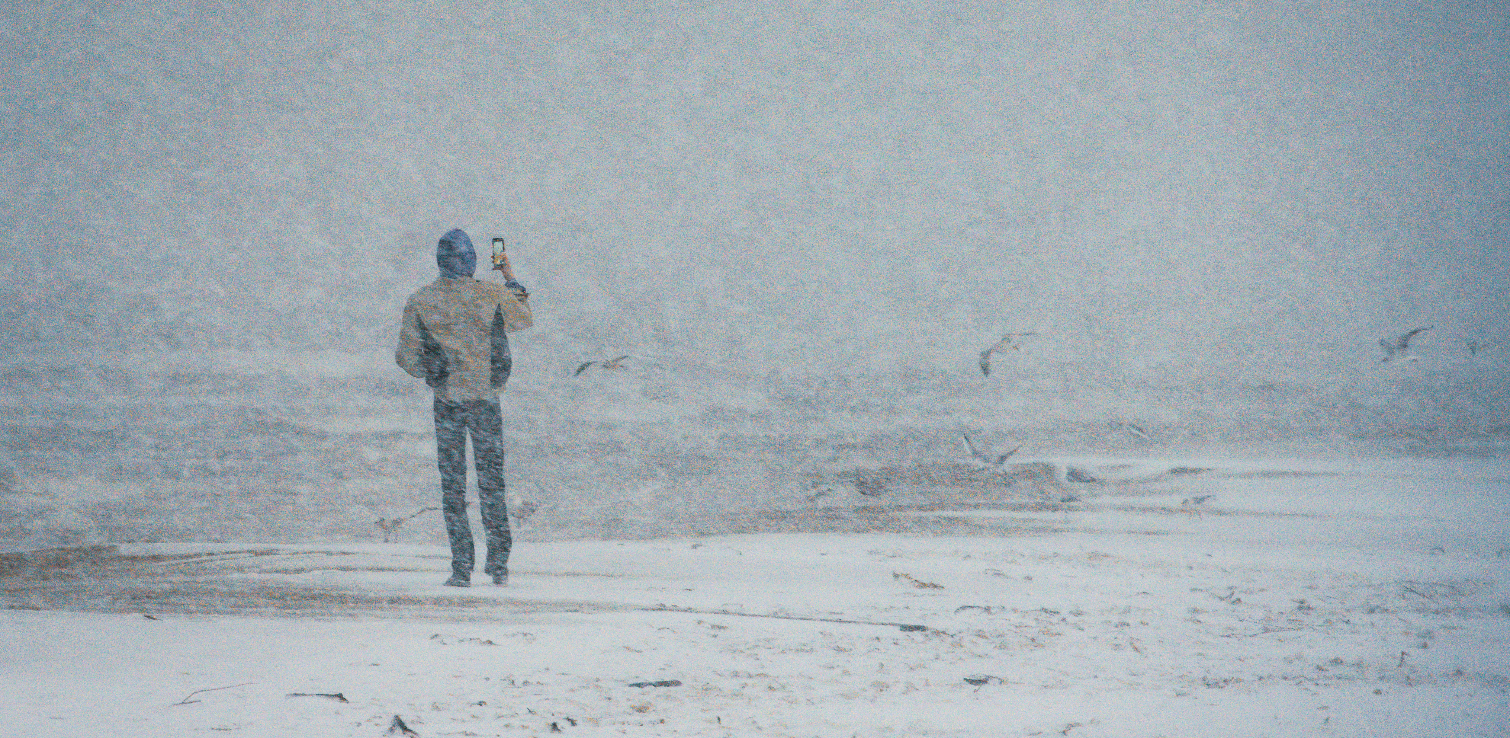 (fot. Anna Rezulak / KFP)