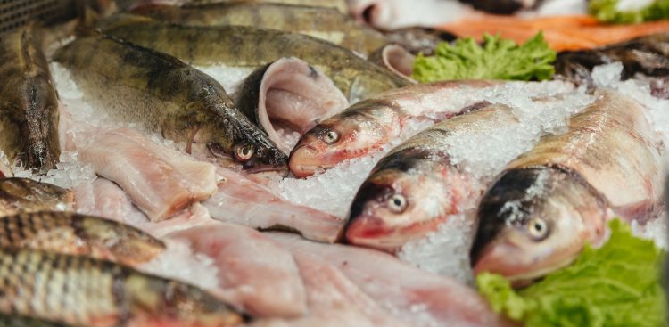 Zdjęcie ilustracyjne (Fot. Freepik)