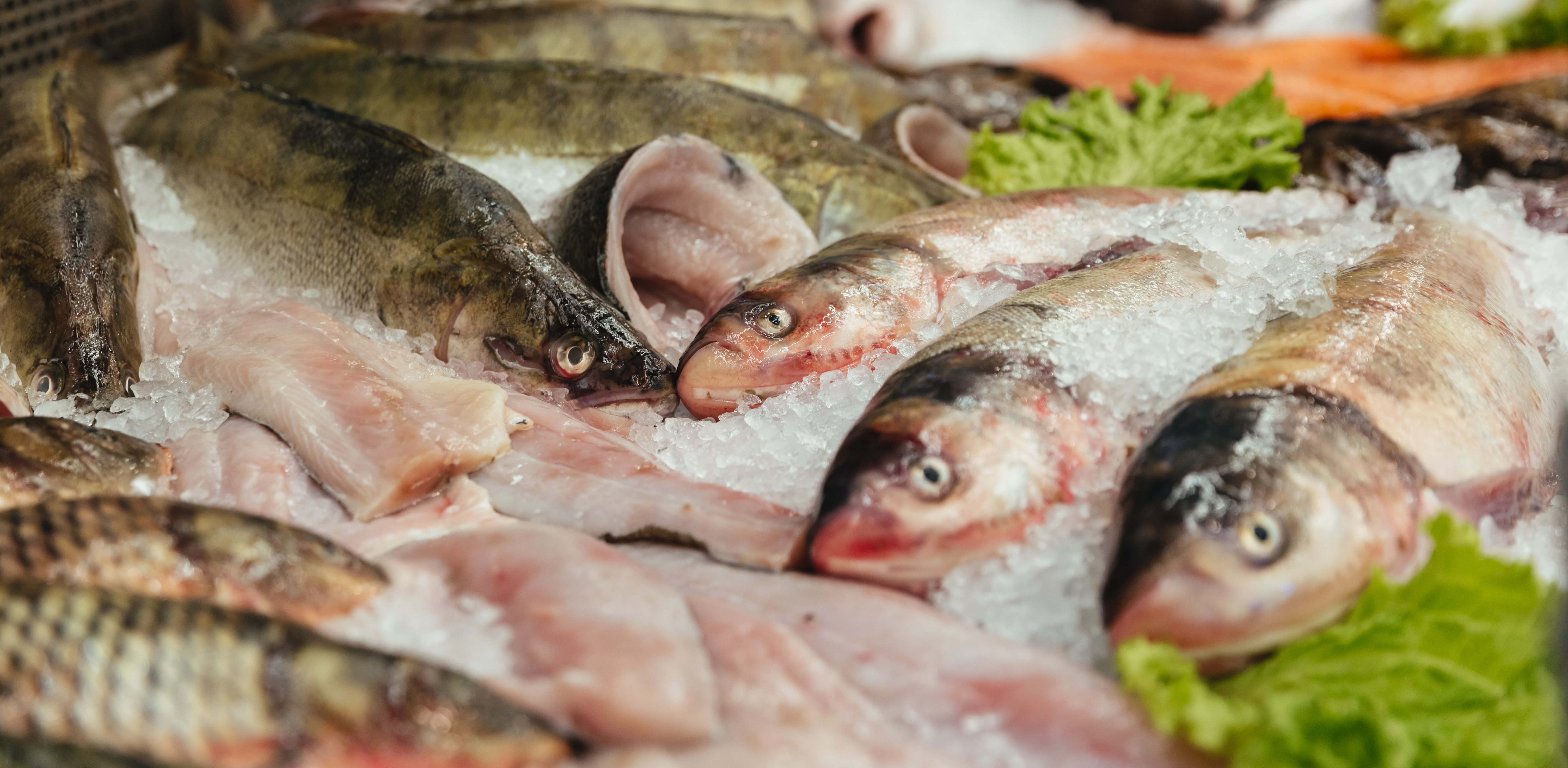 Zdjęcie ilustracyjne (Fot. Freepik)