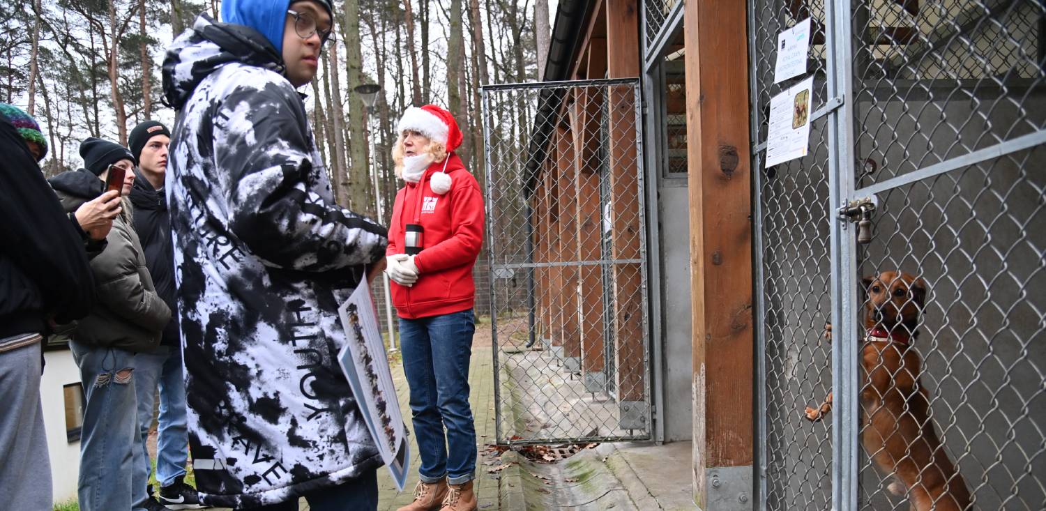 Dzień otwarty w Sopotkowie - schronisku dla bezdomnych zwierząt w Sopocie. 8.12.2024 r. (fot. Wojciech Stróżyk / KFP)
