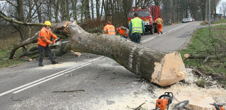 Zdjęcie ilustracyjne (fot. HS / KFP)