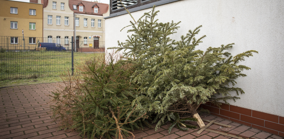 (fot. KFP/Eryk Puchała)