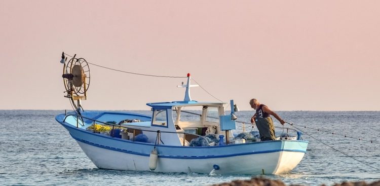 Zdjęcie ilustracyjne (fot. Pixabay)