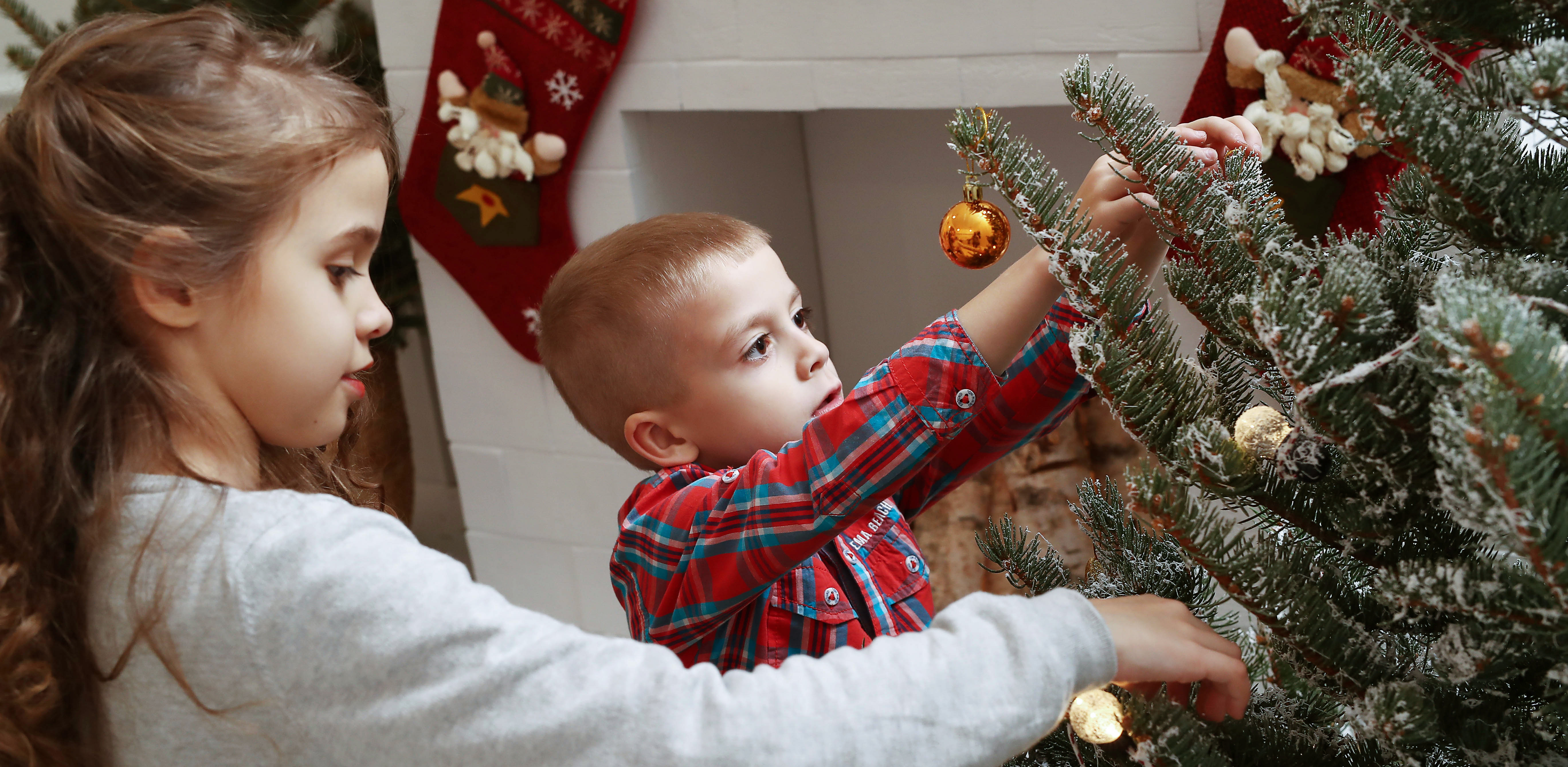 Zdjęcie ilustracyjne (Fot. Freepik)