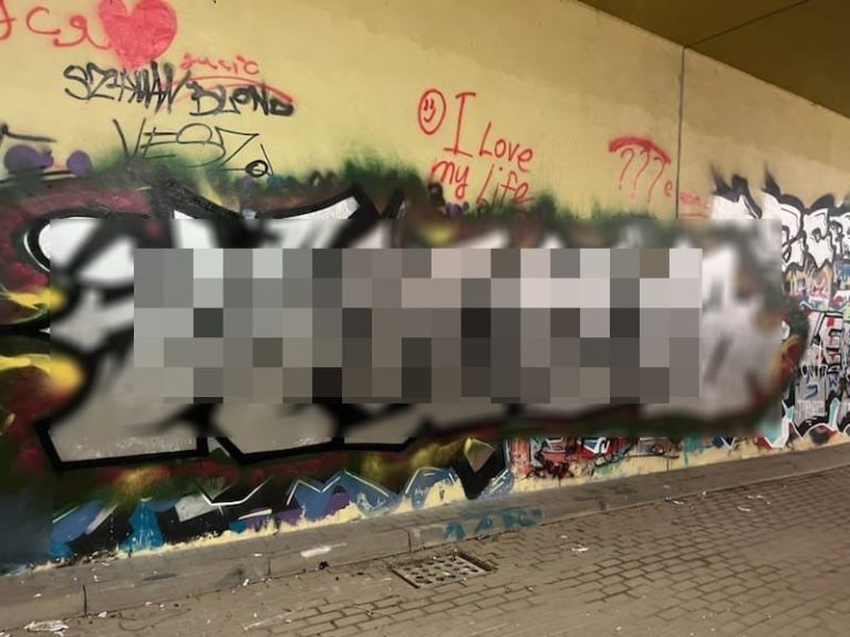 (fot. gdansk.policja.gov.pl)