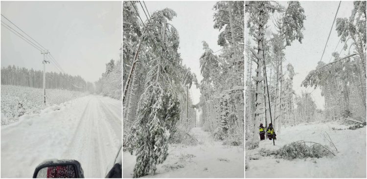 Energetycy pracują nad przywróceniem zasilania. Trwa awaria na Pomorzu (fot. Grupa Energa)