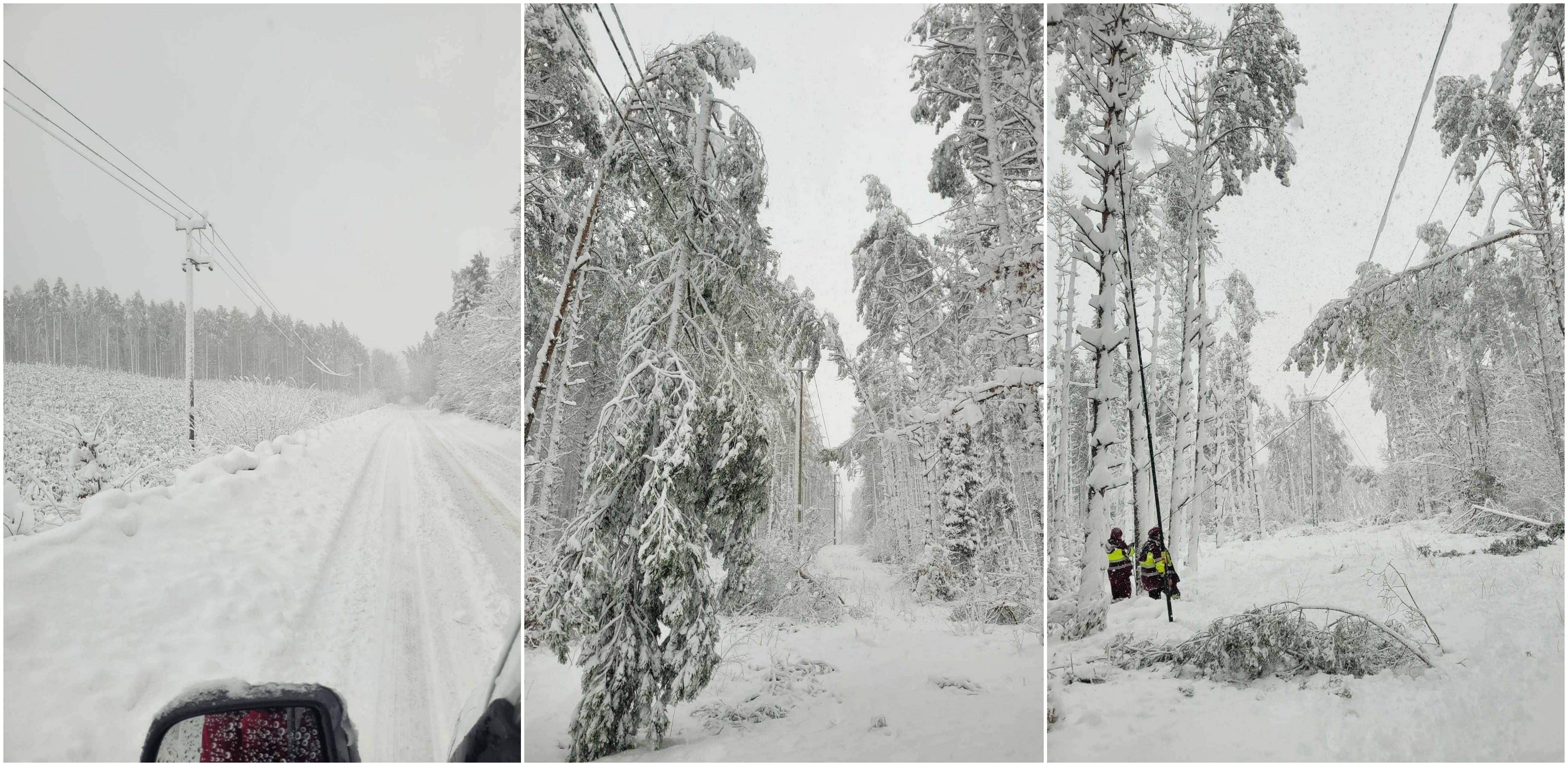 Energetycy pracują nad przywróceniem zasilania. Trwa awaria na Pomorzu (fot. Grupa Energa)