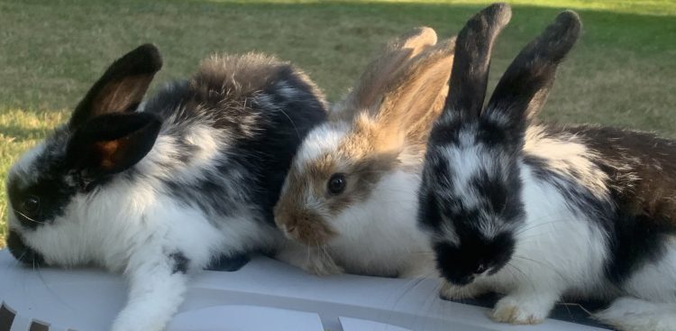 (Fot. arch. prywatne)