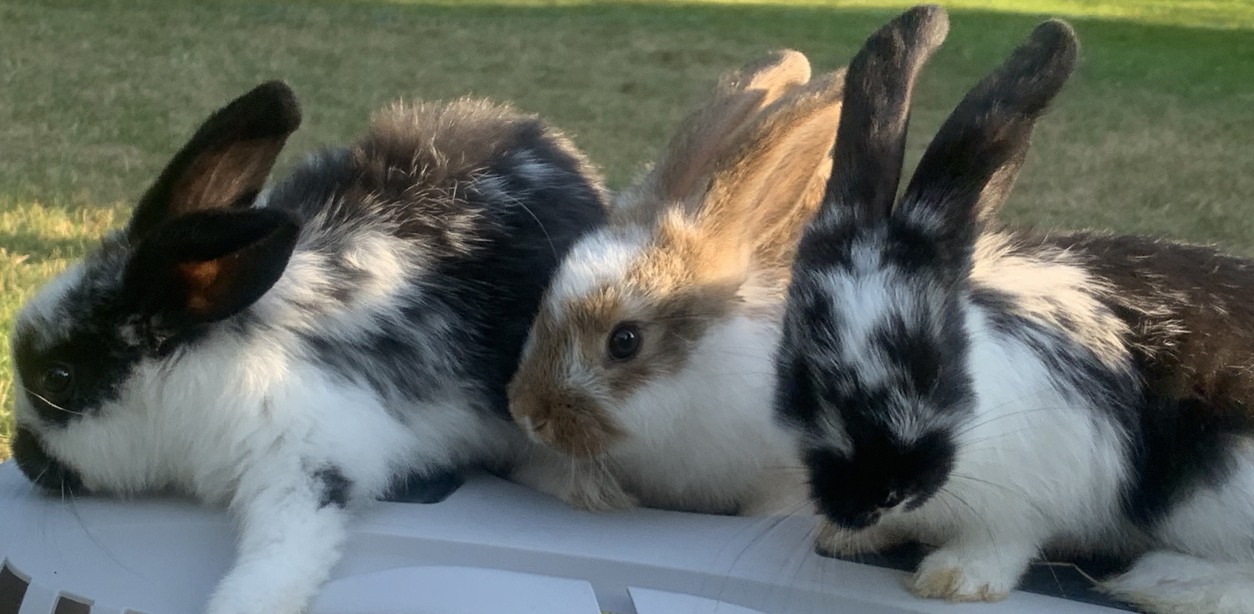 (Fot. arch. prywatne)