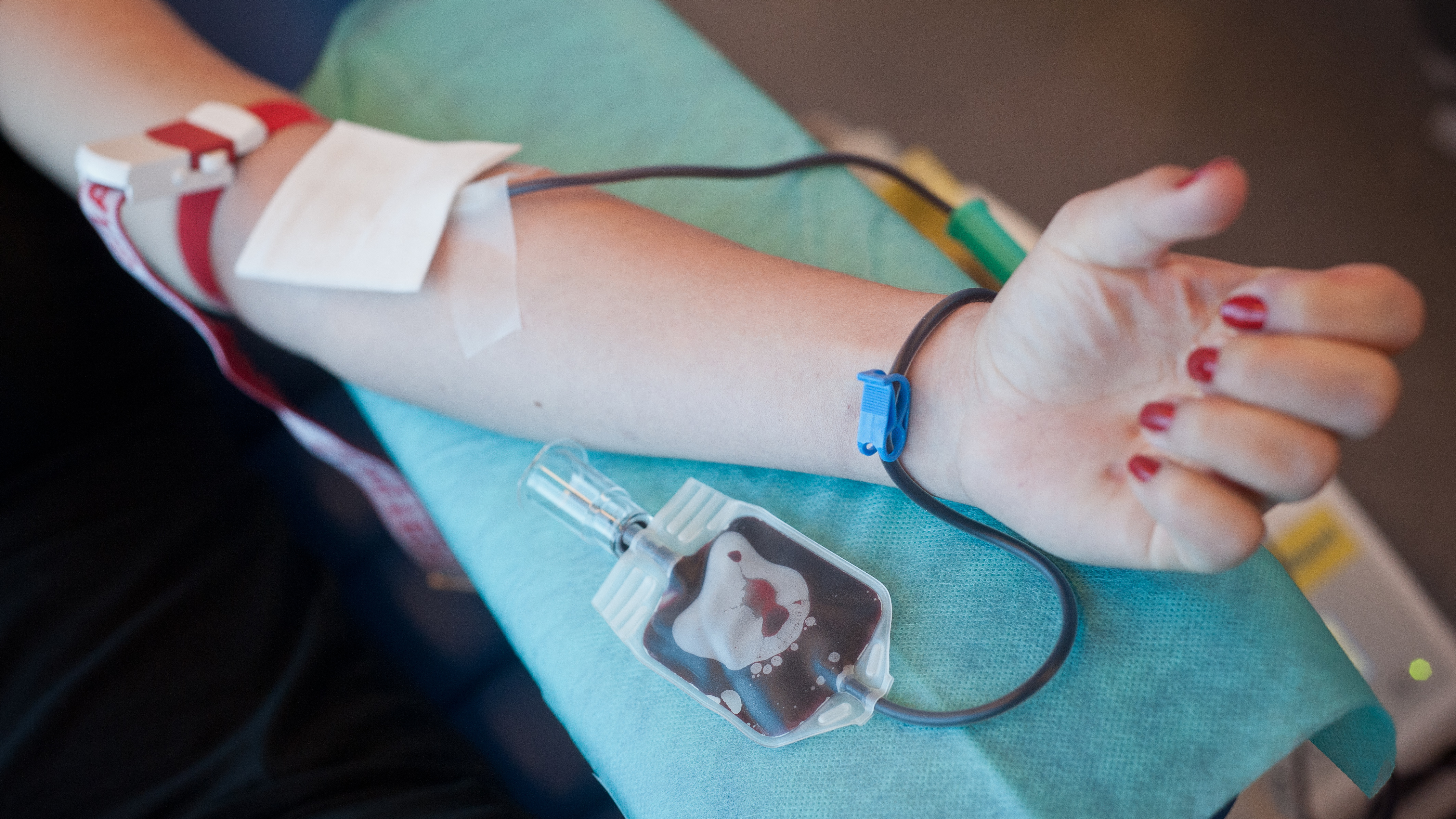 Zdjęcie ilustracyjne (fot. KFP/Mateusz Ochocki)