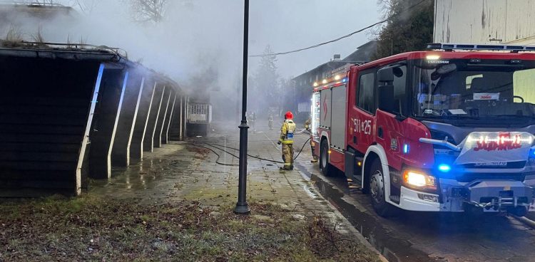 Akcja strażaków na Hipodromie (fot. KM PSP Sopot)