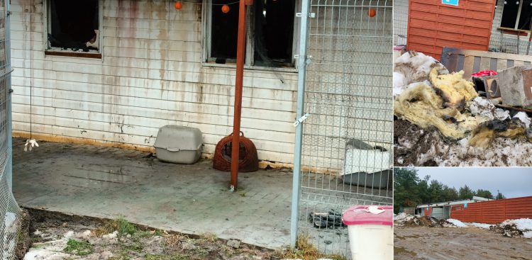 (Fot. Radio Gdańsk/Adam Hebel)