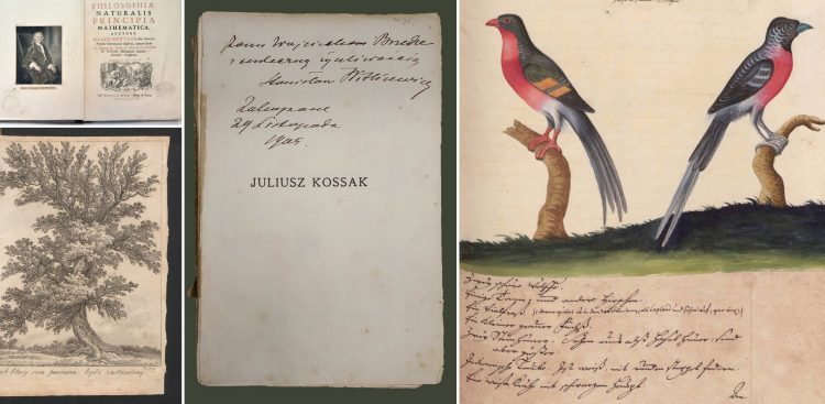 We wnętrzu archiwum znajdziemy bezcenne i niepowtarzalne zbiory uczelni (Fot. Politechnika Gdańska)